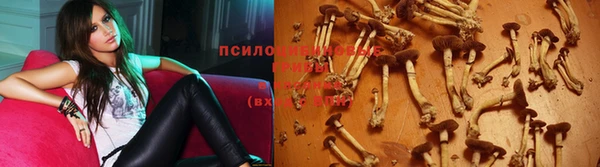 прущий лед Нея