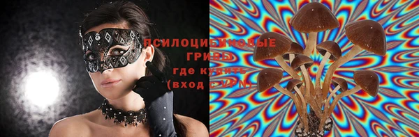 первитин Надым
