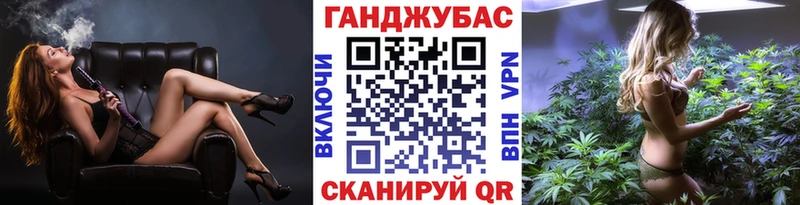 Канабис сатива  Заполярный 